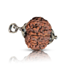 9-mukhi Rudraksha beads in brown color, attached with metal hooks on both sides, known for spiritual significance and enhancing strength and focus