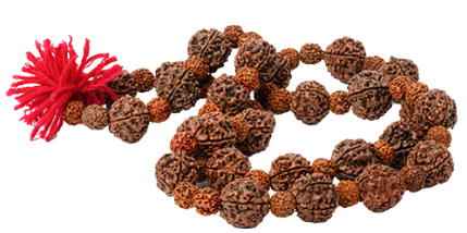Rudraksha mala with large brown and small light brown beads, known for their spiritual significance and enhancing focus and energy